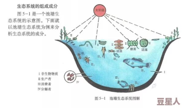 撒尿BBWBBWBBW毛黑：探讨相关生物学特征及其在生态系统中的影响，解析该现象对动物行为习性的反映