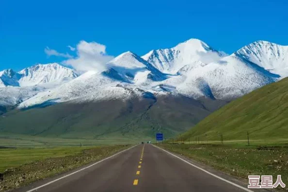 九色丨蝌蚪ponyr：探索多彩世界的奇妙旅程，带你领略独特的艺术与创意之美