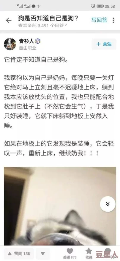 能看出b逄的广场舞超清！内幕曝光：背后真相令人大跌眼镜，网友热议不已