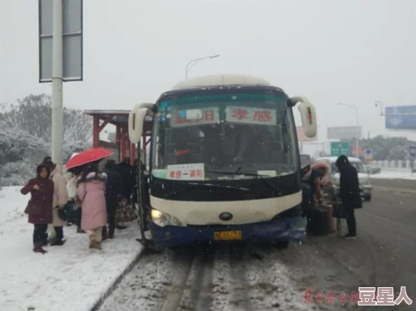 欧美大巴：数十名乘客遭遇突发事故！紧急救援现场惨烈，伤亡人数引发社会关注！