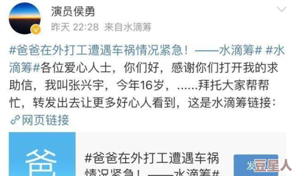 51吃瓜热心的朝阳群众年度汇总：从网络热议到社会事件，见证普通人如何参与公共事务与舆论形成