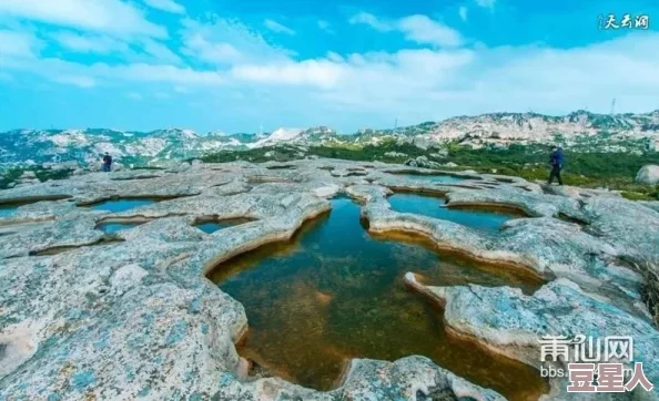 苦海南岸：新一轮生态修复计划启动，助力海洋环境保护与可持续发展