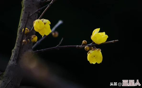 男友当他朋友面让我叫他老公好吗？我该如何应对这种尴尬的场合和情感纠葛呢？