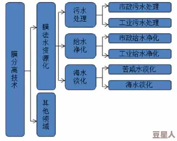 操女人的软件：最新进展与技术应用分析，探讨其对社会伦理和法律的影响及未来发展方向