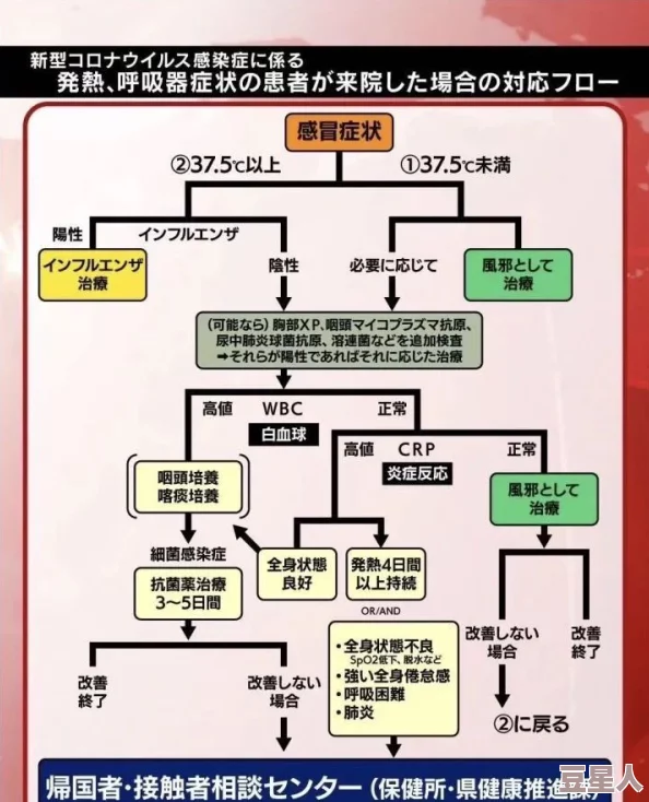 日本乱人伦a综艺网站最新进展：平台内容监管加强，用户反馈机制逐步完善，行业规范化趋势明显