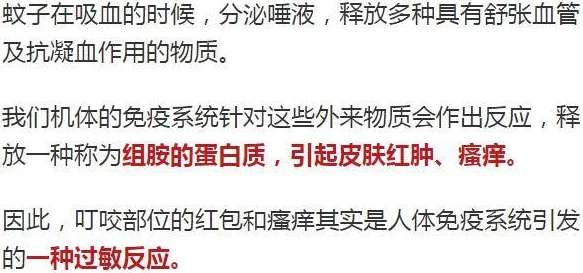 探索国产一区二区不卡的魅力：如何在多元化内容中找到属于你的视听盛宴