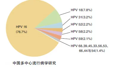 HPV1627.8疫苗研发取得新进展，临床试验结果显示有效性和安全性显著提升，引发广泛关注