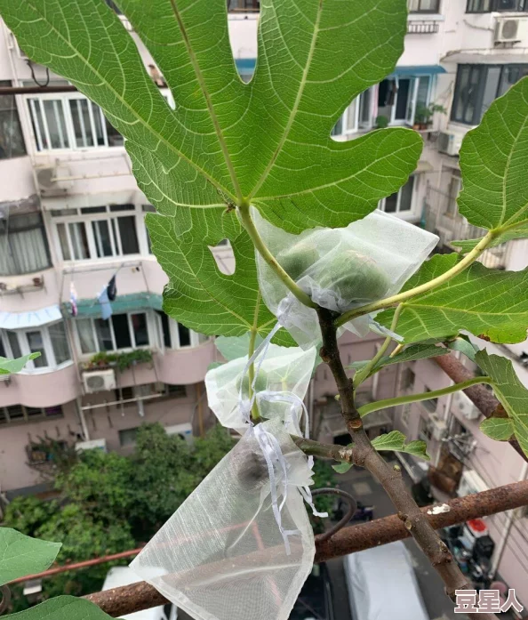 公交站避雨2：市民纷纷聚集，临时搭建遮挡设施应对突如其来的暴雨天气