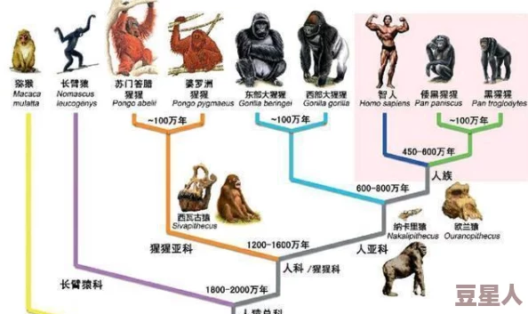 美国人物动物交互入侵惊爆：科学家发现新物种与人类互动频率激增引发生态危机警报