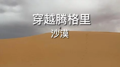 高清无码成本人视频传播积极向上的生活态度鼓励大家勇敢追求梦想展现真实自我共同创造美好未来