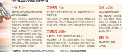 韩国一级毛片a级免观看最新进展消息引发广泛关注相关部门表示将加强监管以维护网络环境的健康与安全