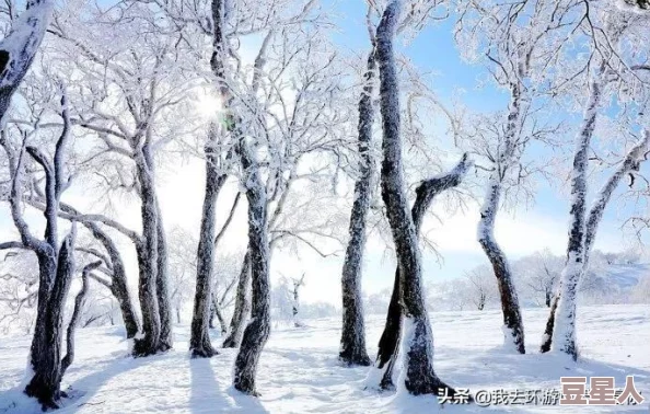 绝地求生刺激战场新揭秘：轻型雪地摩托性能全面一览，驰骋雪域加速致胜