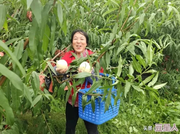 时间停止男子像素风桃子移植是一款以复古像素风格呈现的游戏，玩家可以操控时间暂停功能来解决各种谜题和挑战