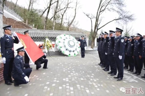 航海王启航新手指南：首抽英雄排行大揭秘，哪个英雄最值得入手？