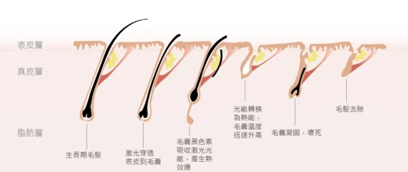 风月宝鉴之冥府春色此片情节扣人心弦，画面唯美，值得一观的经典之作