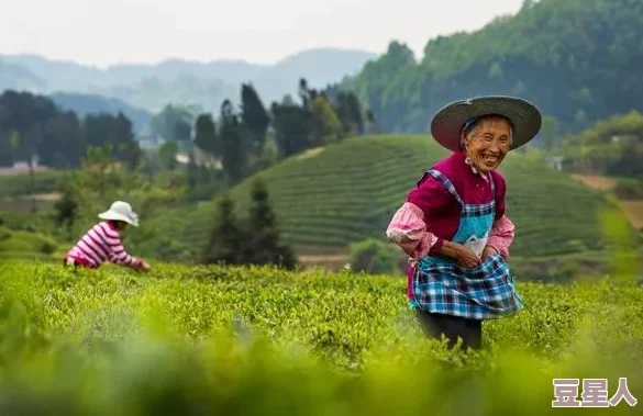 逆藤茶茶好萌老九门番外之四屠黄葵勇敢追梦,心怀善念,共创美好未来