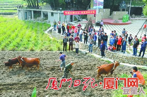 雯雯乡村近日，雯雯乡村举办了丰收节，吸引了众多游客前来体验农耕乐趣