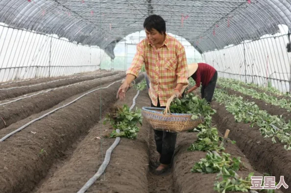 迈开腿让我看下你的小草莓因内容低俗已被平台删除请勿传播