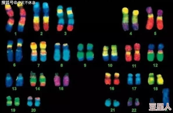 系统精子h快穿基因改造计划启动目标解锁全新世界