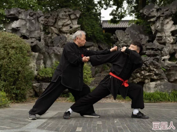 老李头的退休生活学习书法练习太极拳每天遛弯