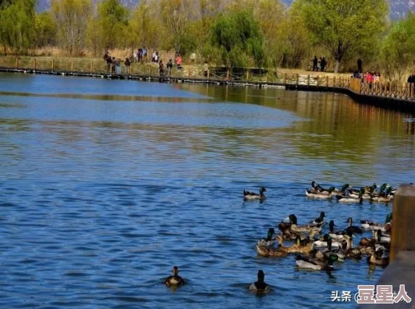 天天风之旅学院新手升级秘籍大公开！游戏攻略为主，内含惊喜快速升级新技巧