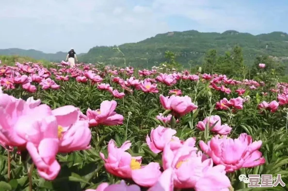 春光咬月亮让我们珍惜每一个美好瞬间，心怀希望，勇敢追梦