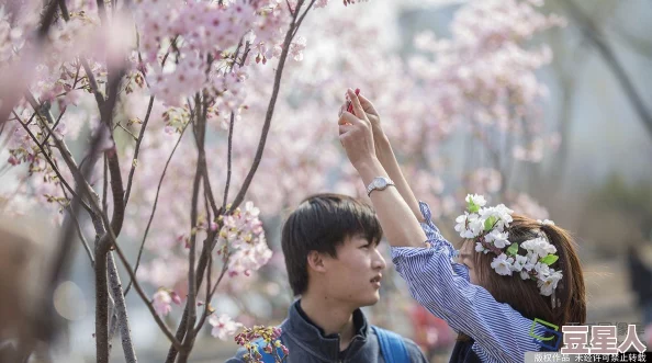 我可以触碰你的樱花深处吗樱花含苞待放的季节，少女的心事悄然绽开