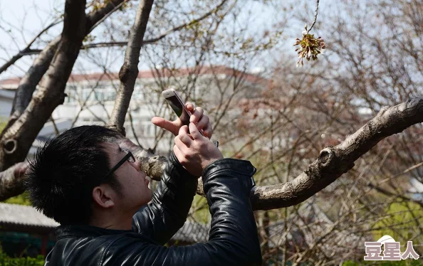 我可以触碰你的樱花深处吗樱花含苞待放的季节，少女的心事悄然绽开