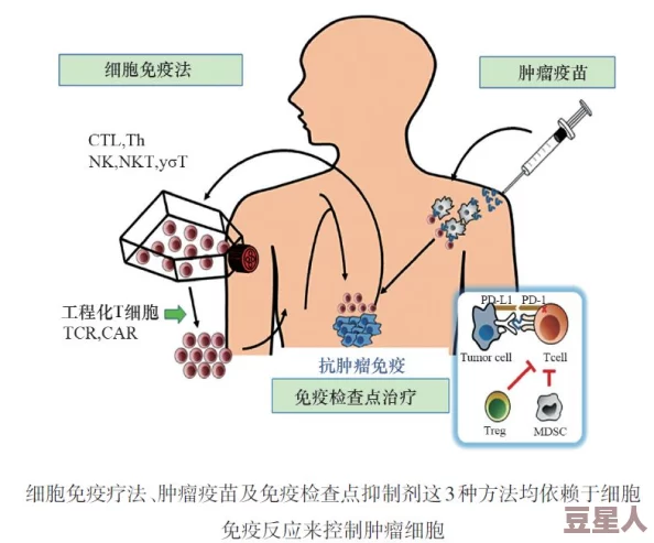 揉捏小核实验性疗法取得突破进展患者症状显著改善