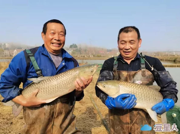 老旺把船开到河中间的意义村民发现河中暗藏生机众人合力捕鱼改善生活