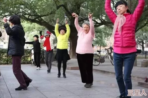 广场舞大妈广场舞教学视频chinese老太交