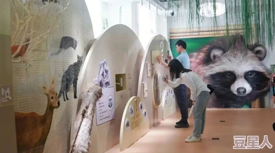 惊喜揭秘：猫博物馆创新互动展，探索婴儿安全展示法及小孩温馨摇篮体验之旅