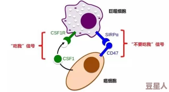 细胞奇点无限资源破解版 内购解锁无限钻石金币完整版