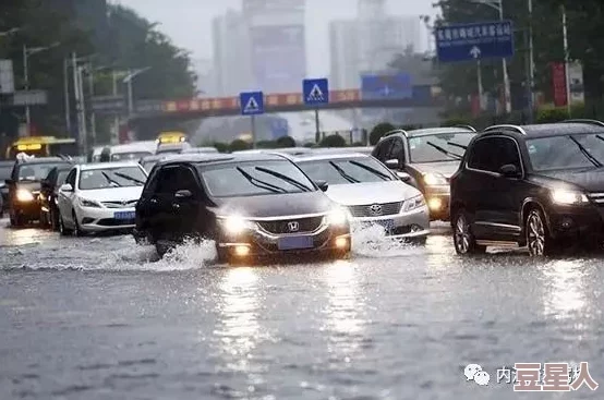 少汪几句肉车近日一辆肉车在市中心发生故障引发围观，司机及时处理未造成交通拥堵