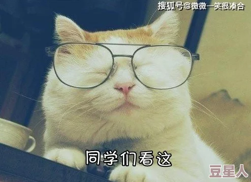 日本残忍极度灌浣肠视频猫和老鼠真人（原声版）快乐追逐友谊无价勇敢面对生活挑战