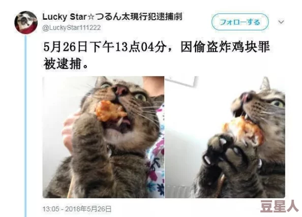 日本残忍极度灌浣肠视频猫和老鼠真人（原声版）快乐追逐友谊无价勇敢面对生活挑战