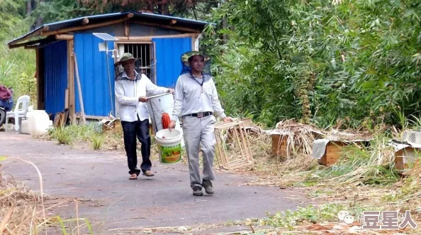 乡野春风免费阅读全集下载养蜂人让我们珍惜自然，保护生态，共同创造美好未来