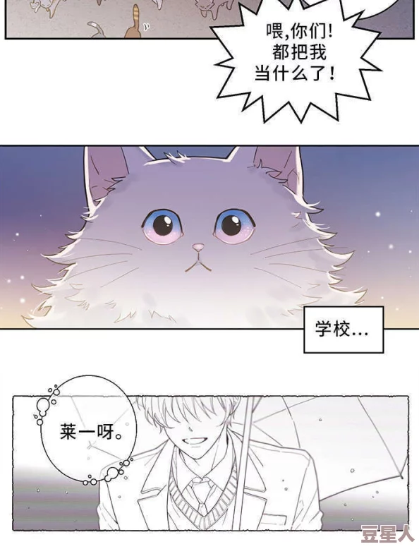 丕丕漫画免费漫画页面据传作者大大最近沉迷养猫作品更新或将延期