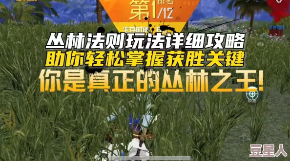 丛林法则新手必备：2024热门技巧大全，助你精准制胜攻略