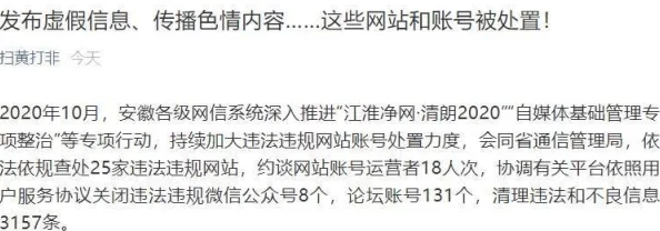 黄色国产网站内容审查与监管机制的探讨