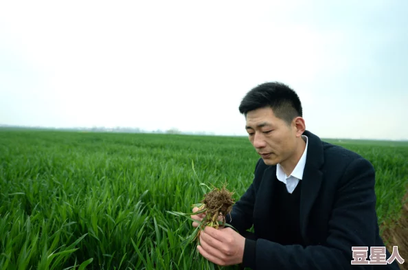 国产伦理女村支书剧情跌宕起伏，展现了农村基层工作的复杂性