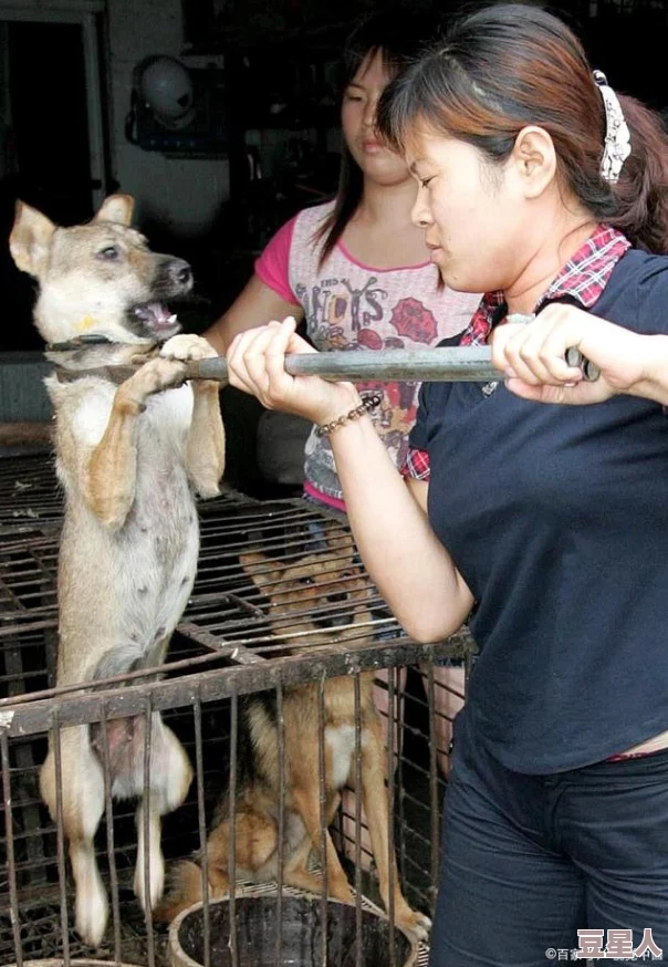 东北大坑狗儿和娘令人震惊的虐待动物视频引发网友强烈谴责