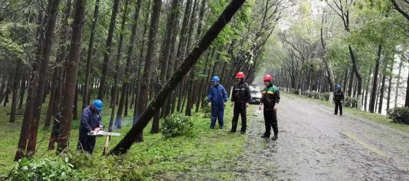 极无双赵云技能属性全解析：疾风骤雨中的银龙闪击