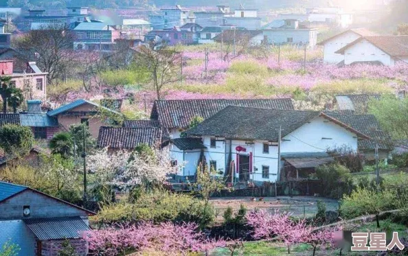 春色-乡野欲潮听说拍摄地桃花村桃花酿销量大增村民们都在讨论谁是电影原型