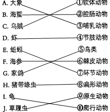 《我的世界》鱿鱼功能全解析：墨囊染料与生物特性揭秘