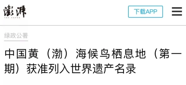 xxnx69为何如此流行简短好记的标题搭配神秘感吸引了众多关注