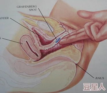 潮吹Free潮吹Frhd高潮2025沉浸式XR交互体验引领感官新革命