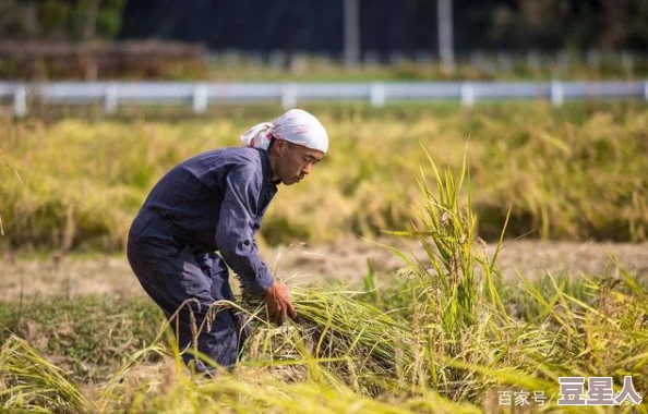 1000部啪啪勿入十八免费老农民：勤劳耕作收获希望，心中有梦未来可期