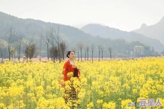 《无限暖暖》心愿原野第三天该怎么玩？